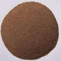 草坪夏季草交播狗牙根，矮生百慕大季節(jié)來臨，提前預備種子